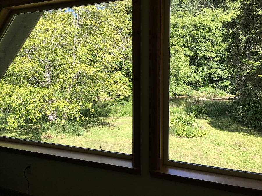 View from upstairs den