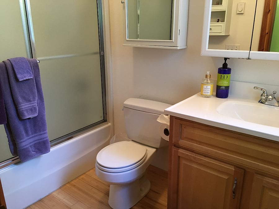 Bathroom off of downstairs bedroom - tub/shower combo