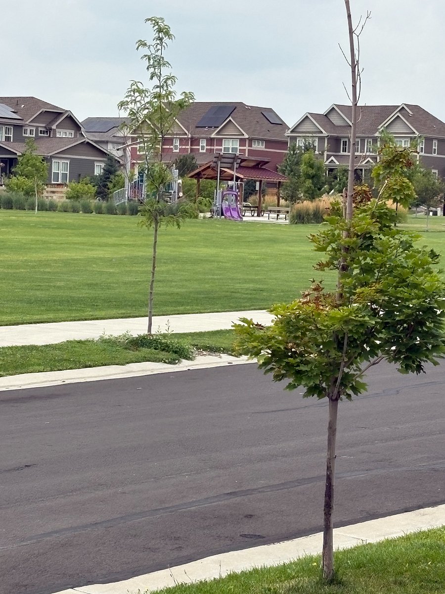 Park across street