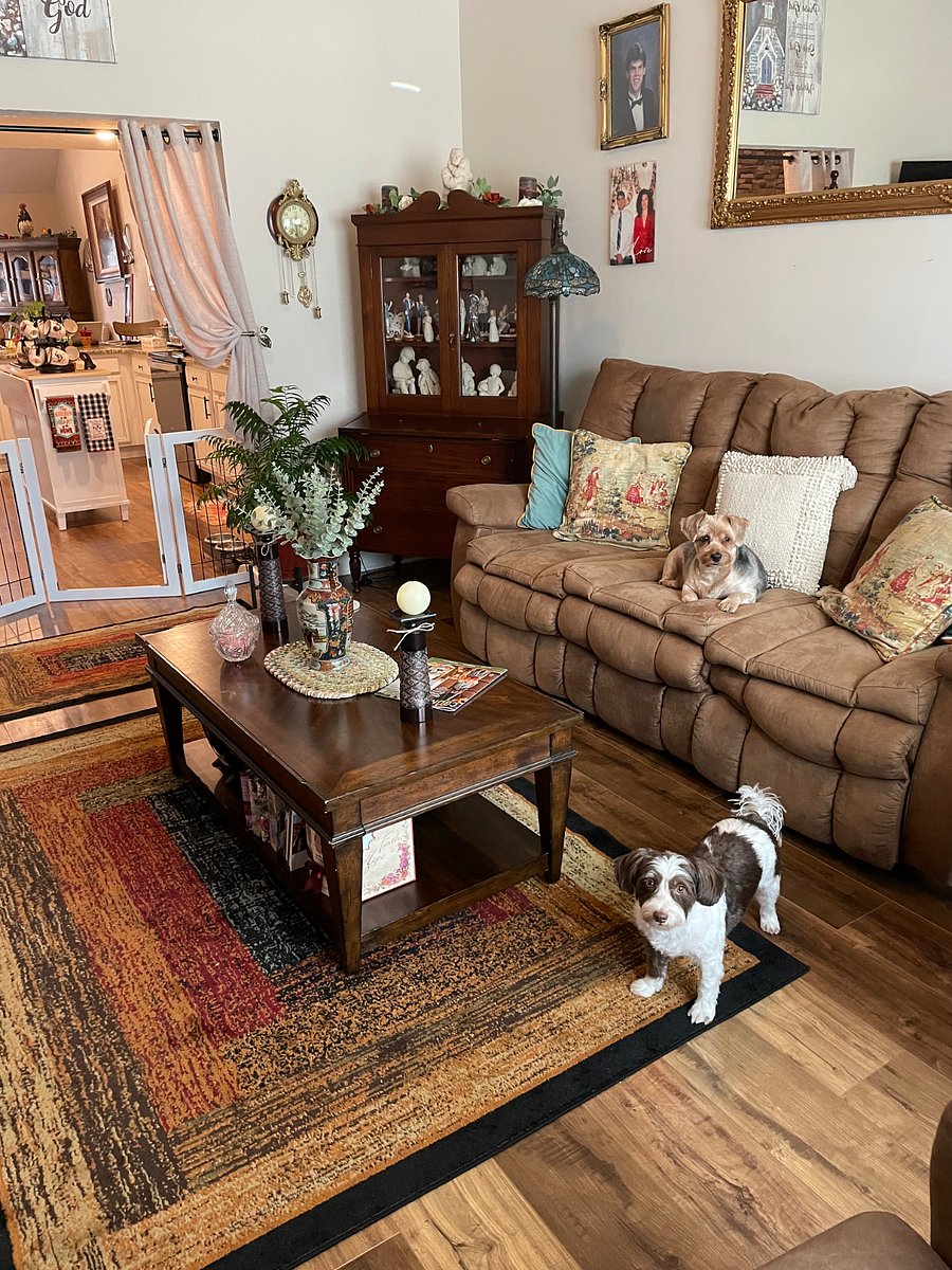 Furnished Finder property 885590_1 photo 14