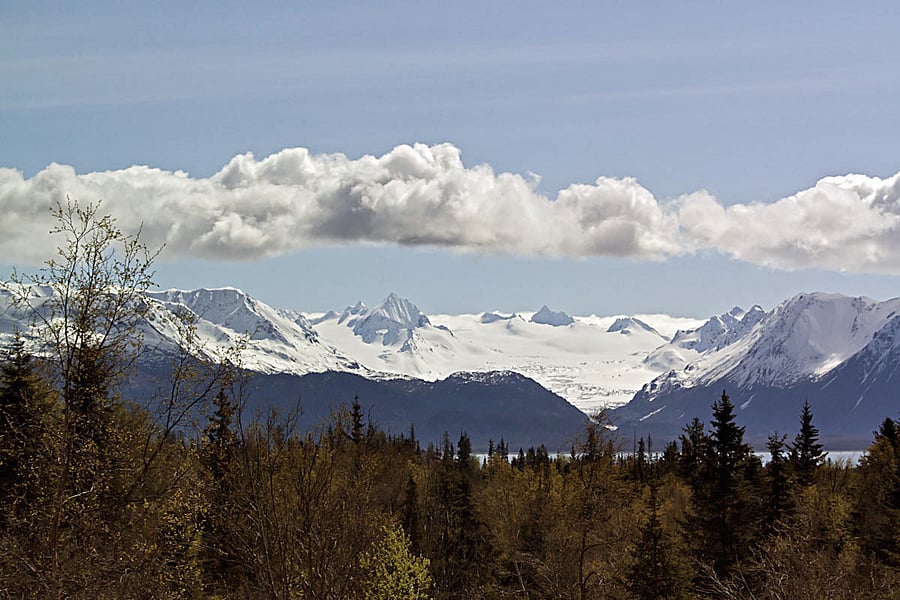 Grewingk Glacier Views