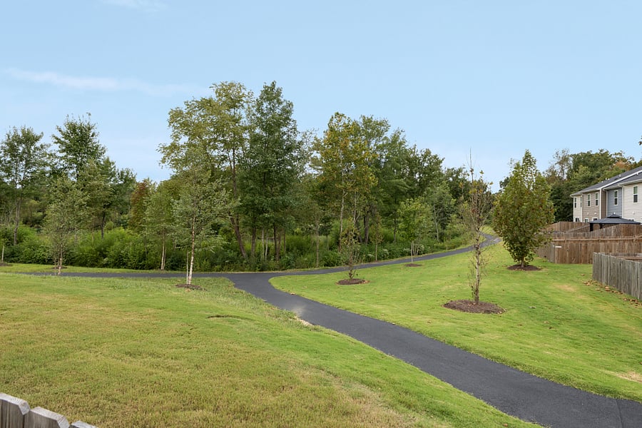 Walking trail behind home