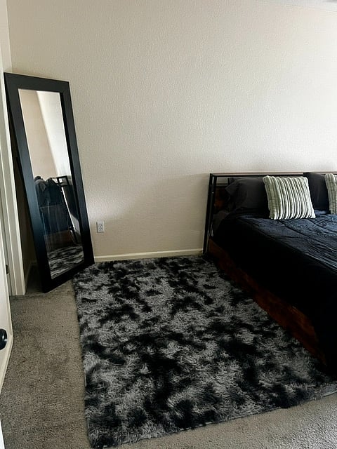 Full length mirror and soft rug in the master bedroom