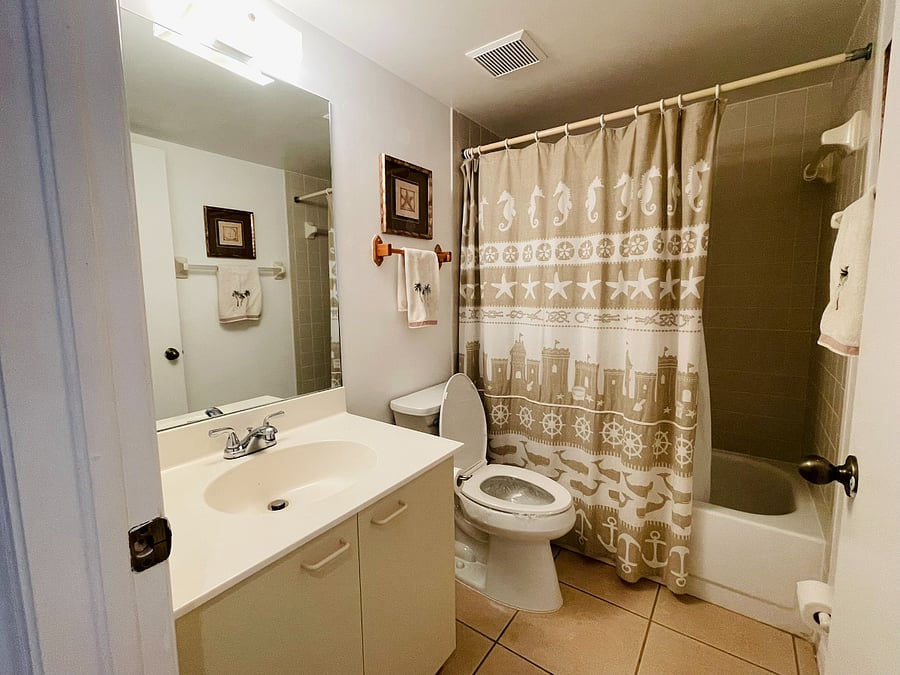 Guest bathroom