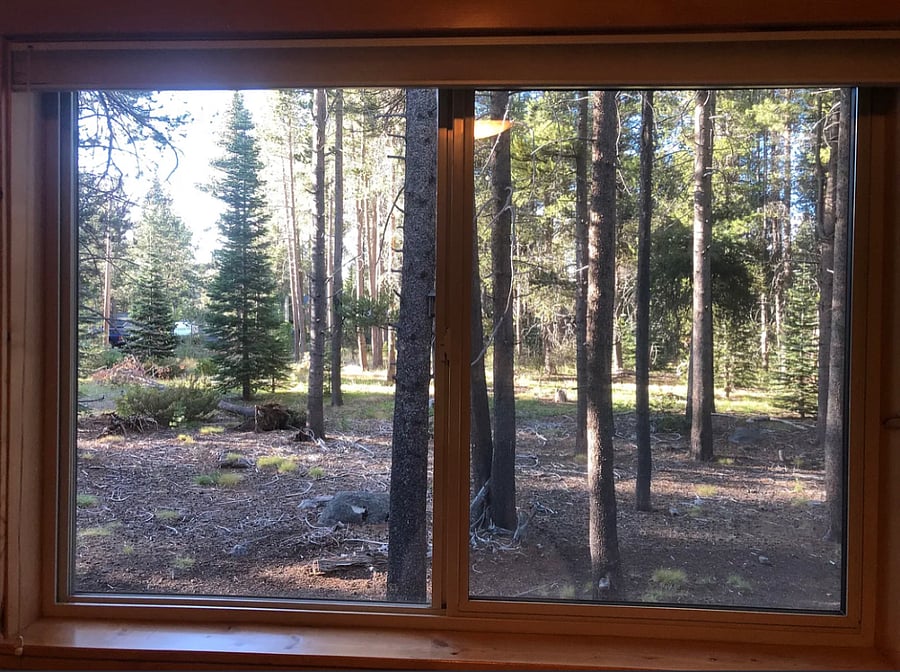 Furnished Finder property 885883_1 photo 20