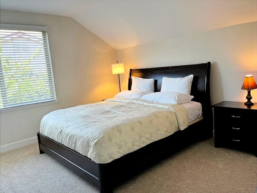 Downstairs Master Suite  king bed and luxury pillows