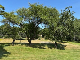Large open grounds for recreations or viewing from Patio setting above. Enjoy Apple tree Springtime blossoming. Farm / Garden setting just beyond back of apple trees.