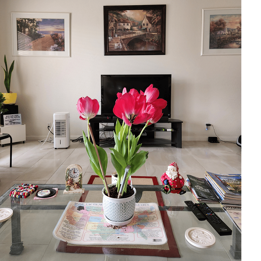 Furnished Finder property 886123_1 photo 5