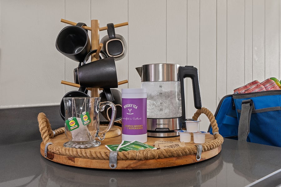 Electric tea kettle