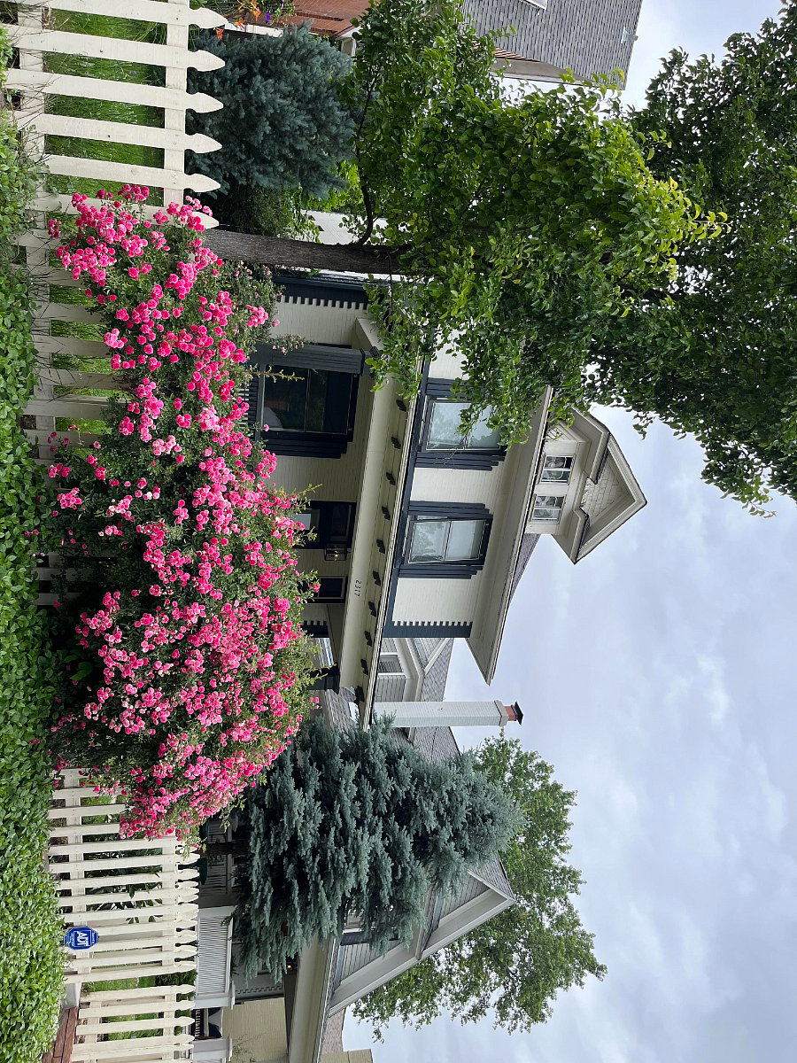 Furnished Finder property 886197_1 photo 17