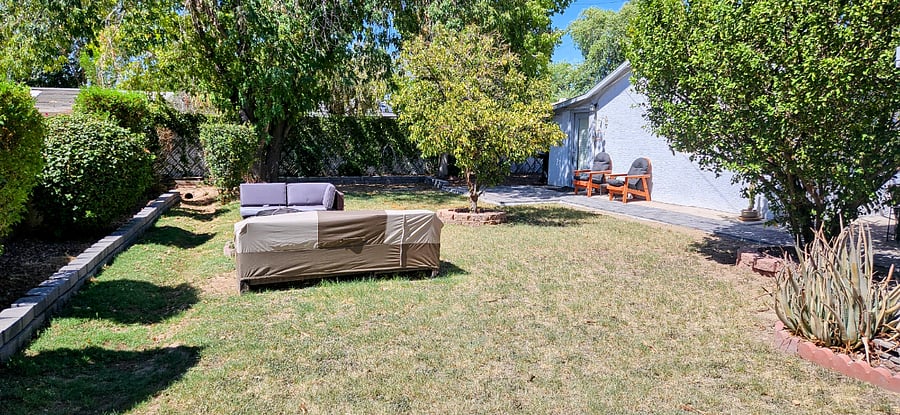 Backyard