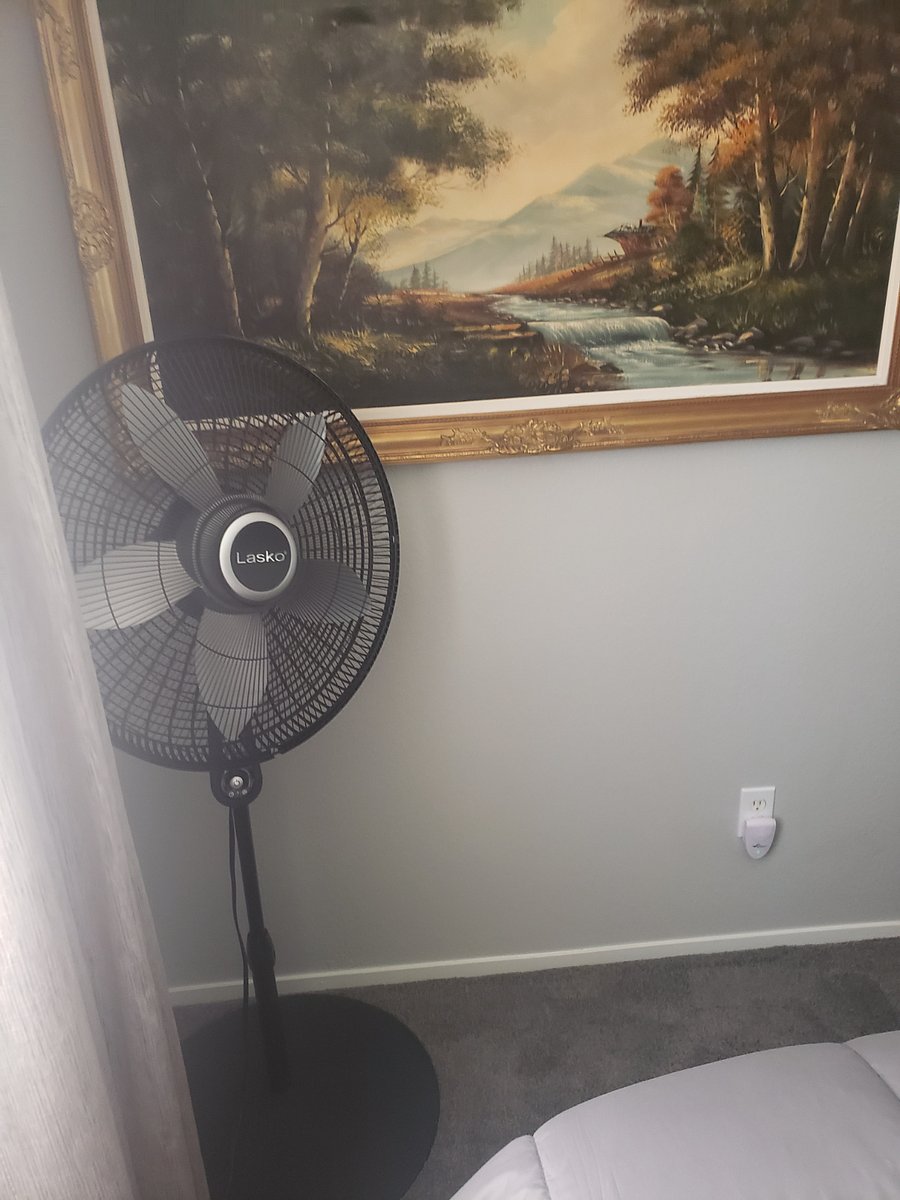 Furnished Finder property 886249_1 photo 4