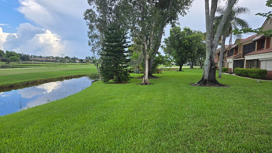Furnished Finder property 886290_1 photo 22