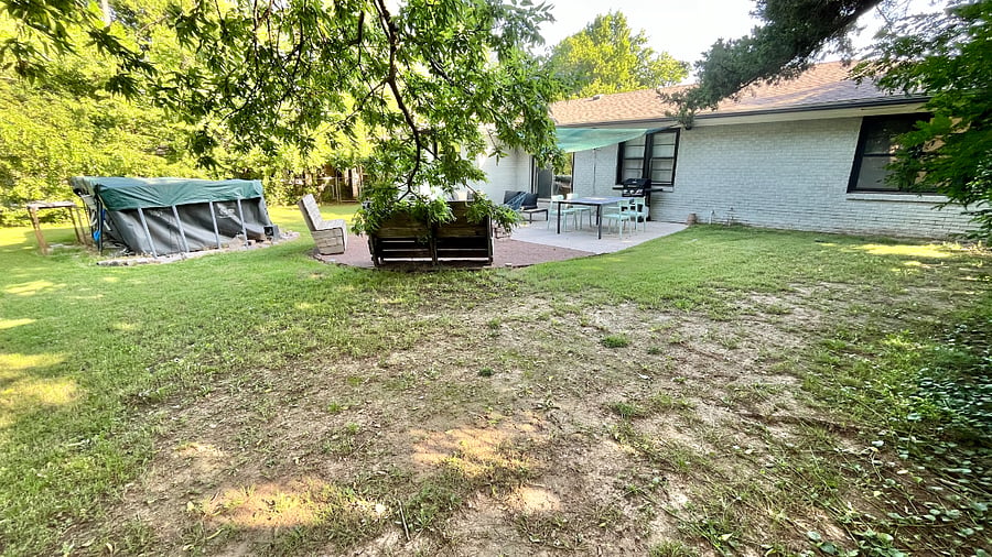 Spacious green backyard filled with wildlife