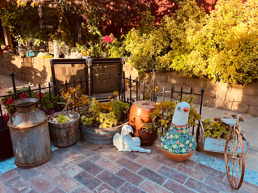 Step outside and enjoy a beautifully designed succulent garden that create a peaceful and visually stunning backdrop. It's the perfect spot to relax and admire a little piece of natural beauty.
