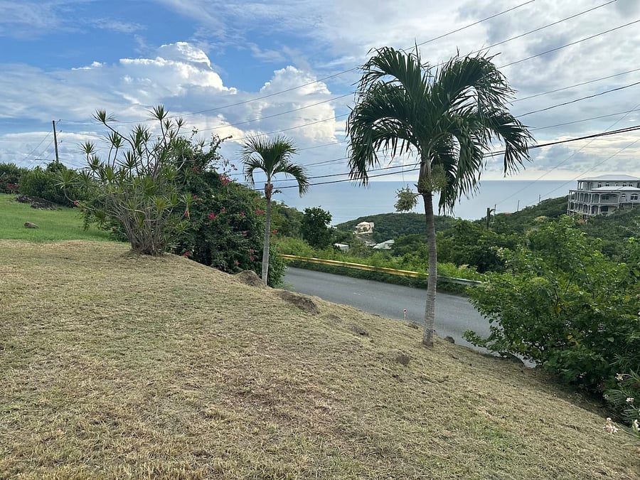 Lots of green space in front of the deck where guests play cornhole and take in oceanviews, palms, and bright Bougainvillea plants common on St. Thomas. There is a steep slope in this area by the palms