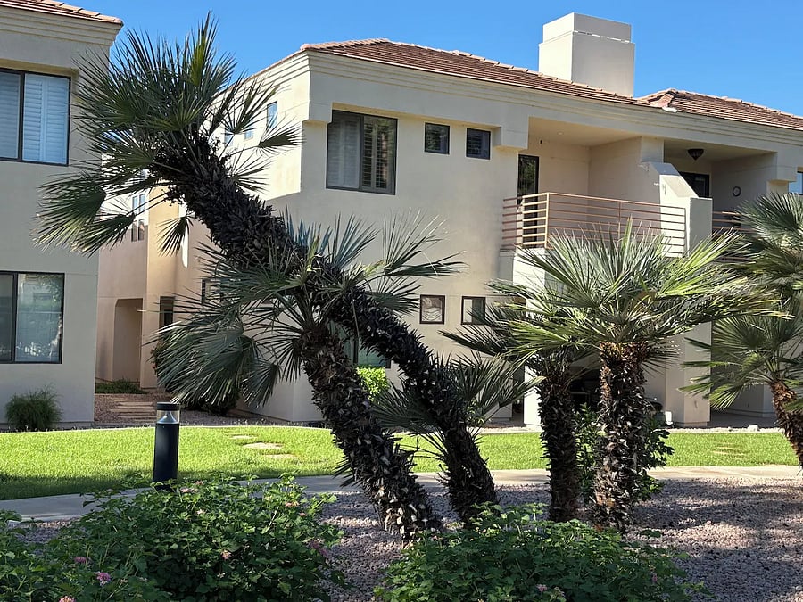 Furnished Finder property 886690_1 photo 35