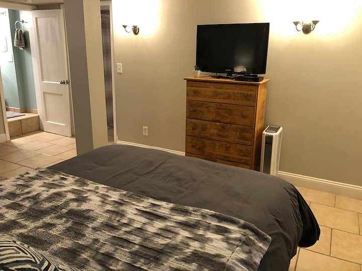 Master bedroom has a 31 TV with Amazon firestick, a chest of drawers, and a portable heater.