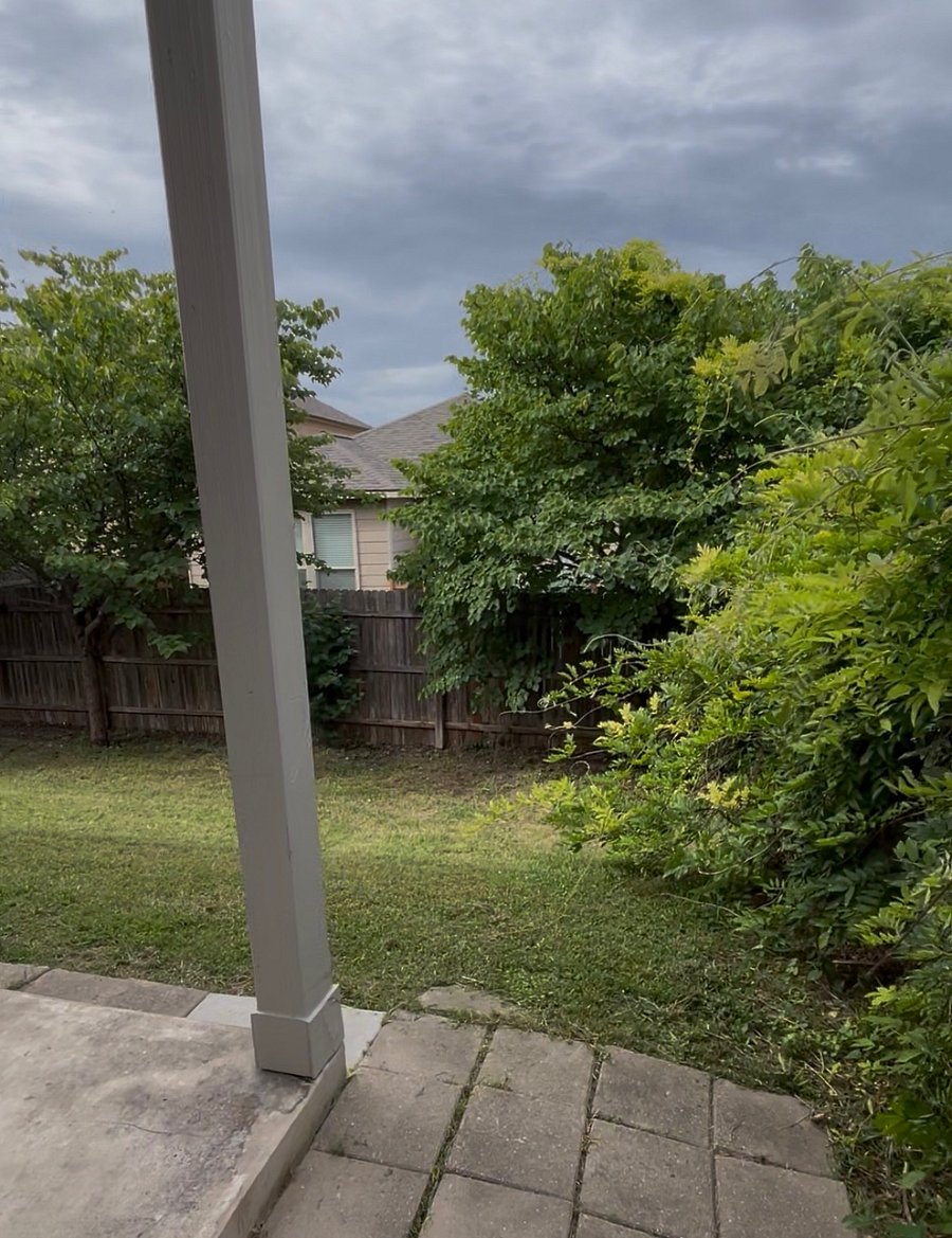 Your dog or cat will love this backyard!