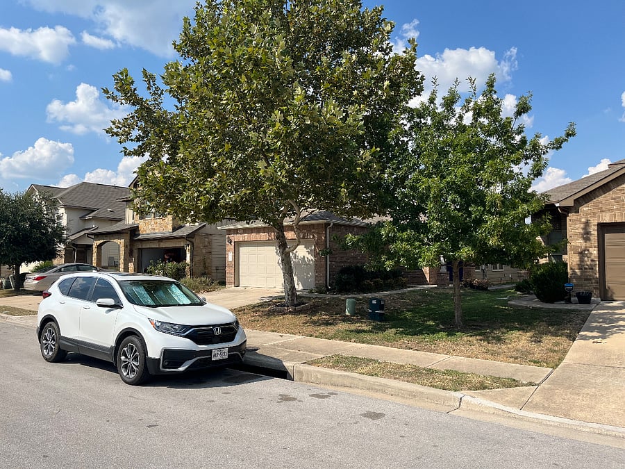 Beautiful trees! Park in driveway, street (or garage for additional fee).