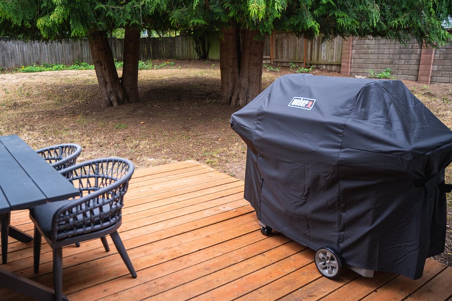 Backyard