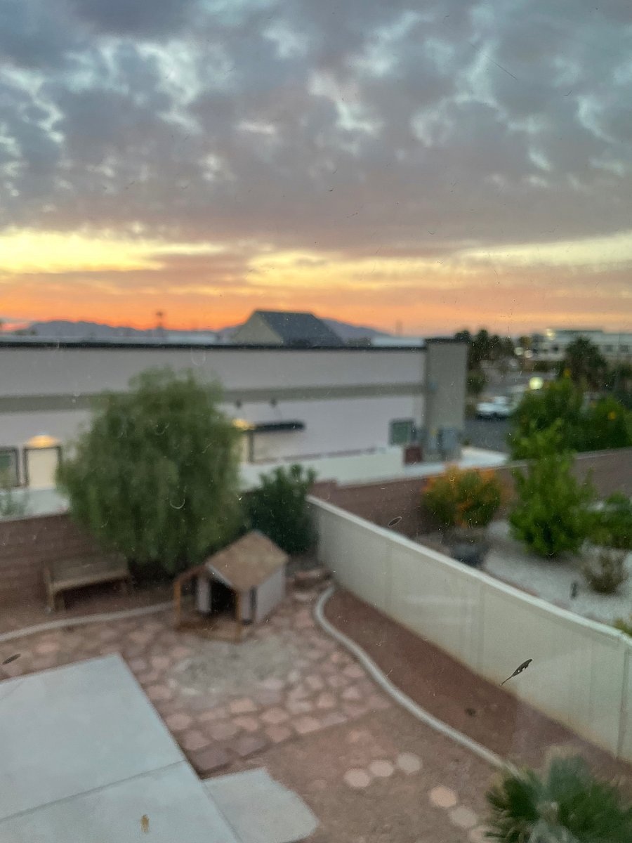 Backyard view another angle around 6 AM in the morning