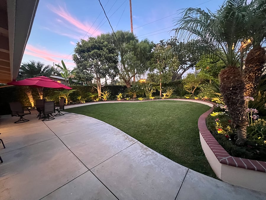 Backyard - Pic 4 - (late afternoon)