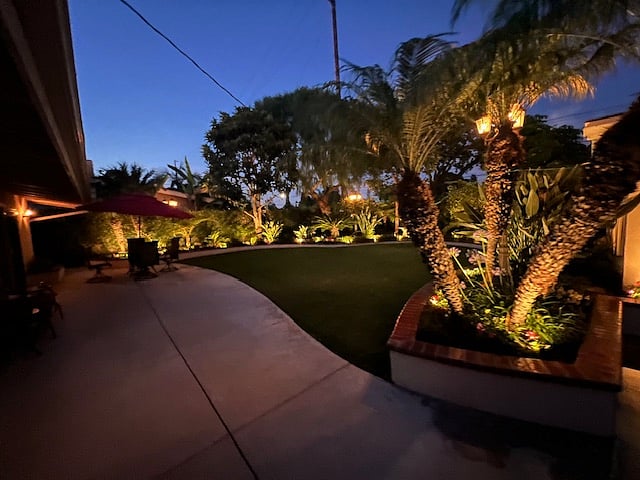Backyard - Pic 4 - (at sunset)  
