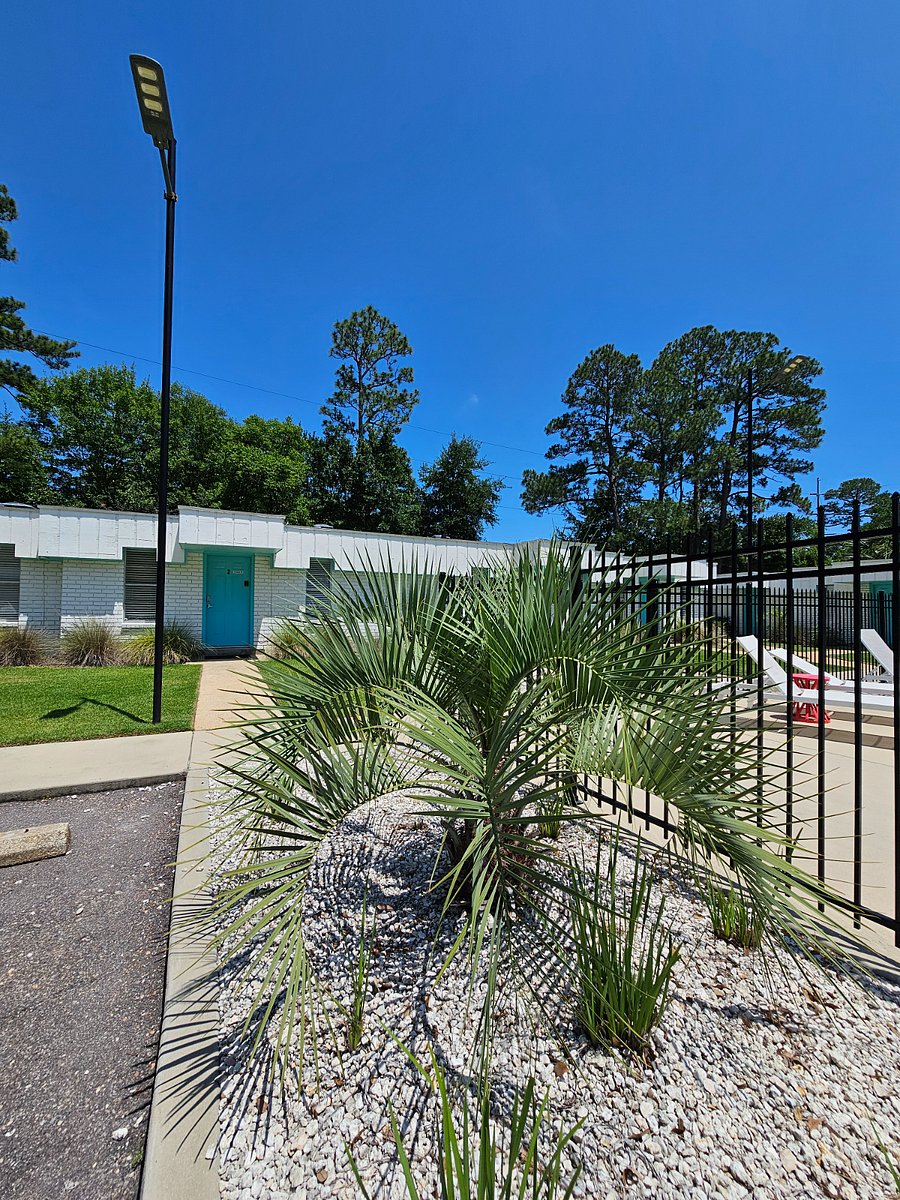 Furnished Finder property 887163_1 photo 15
