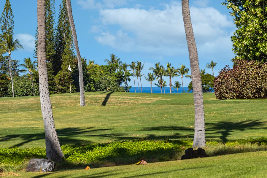 Enjoy Golf Course and Ocean Views
