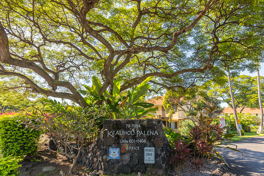 5 Acres of Lush Gardens to Explore
