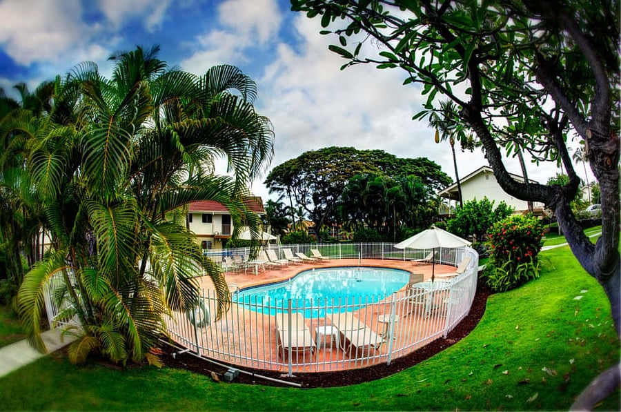 Secluded, Quiet Pool