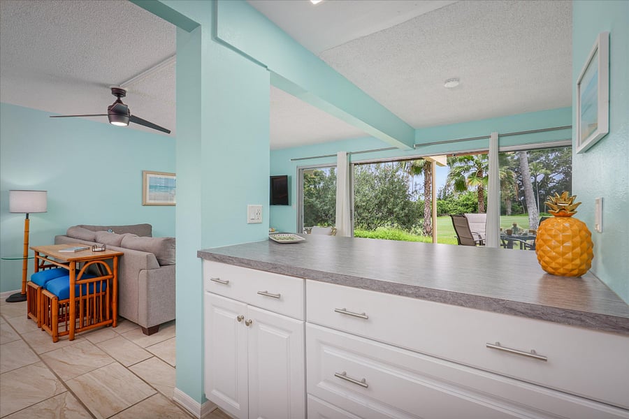 View From the Kitchen