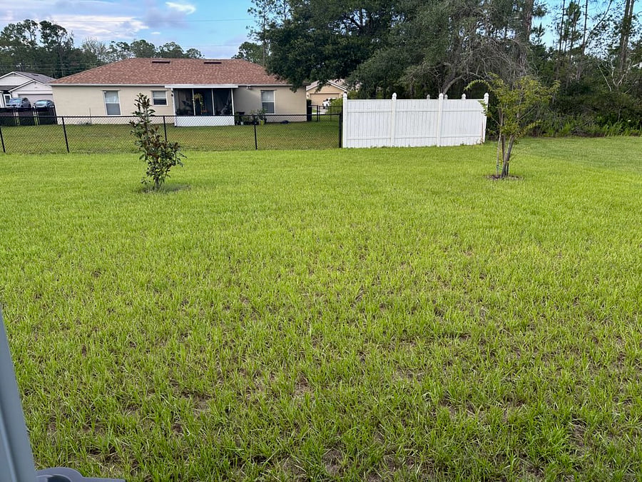 Furnished Finder property 887254_2 photo 11