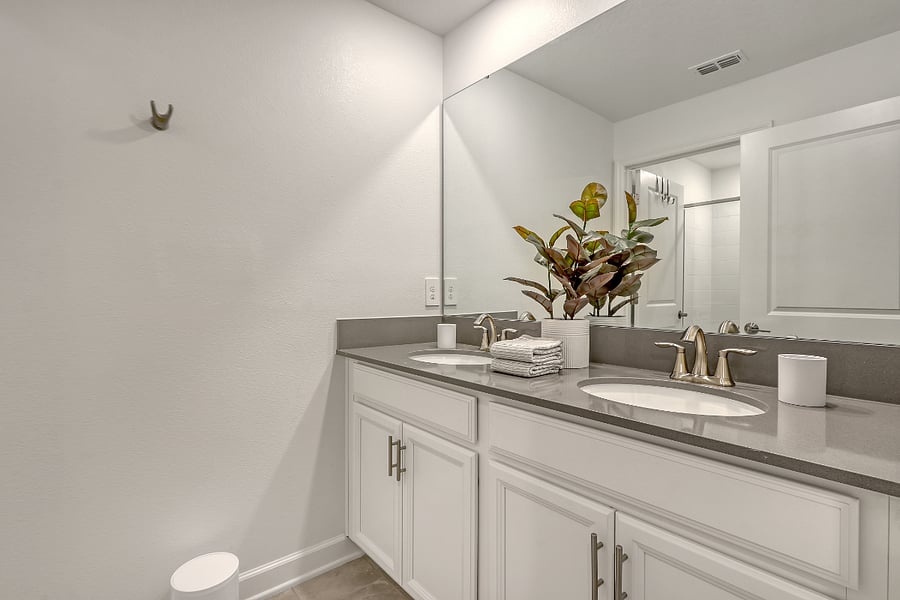 Guest bath with double sinks and separate shower room. 
