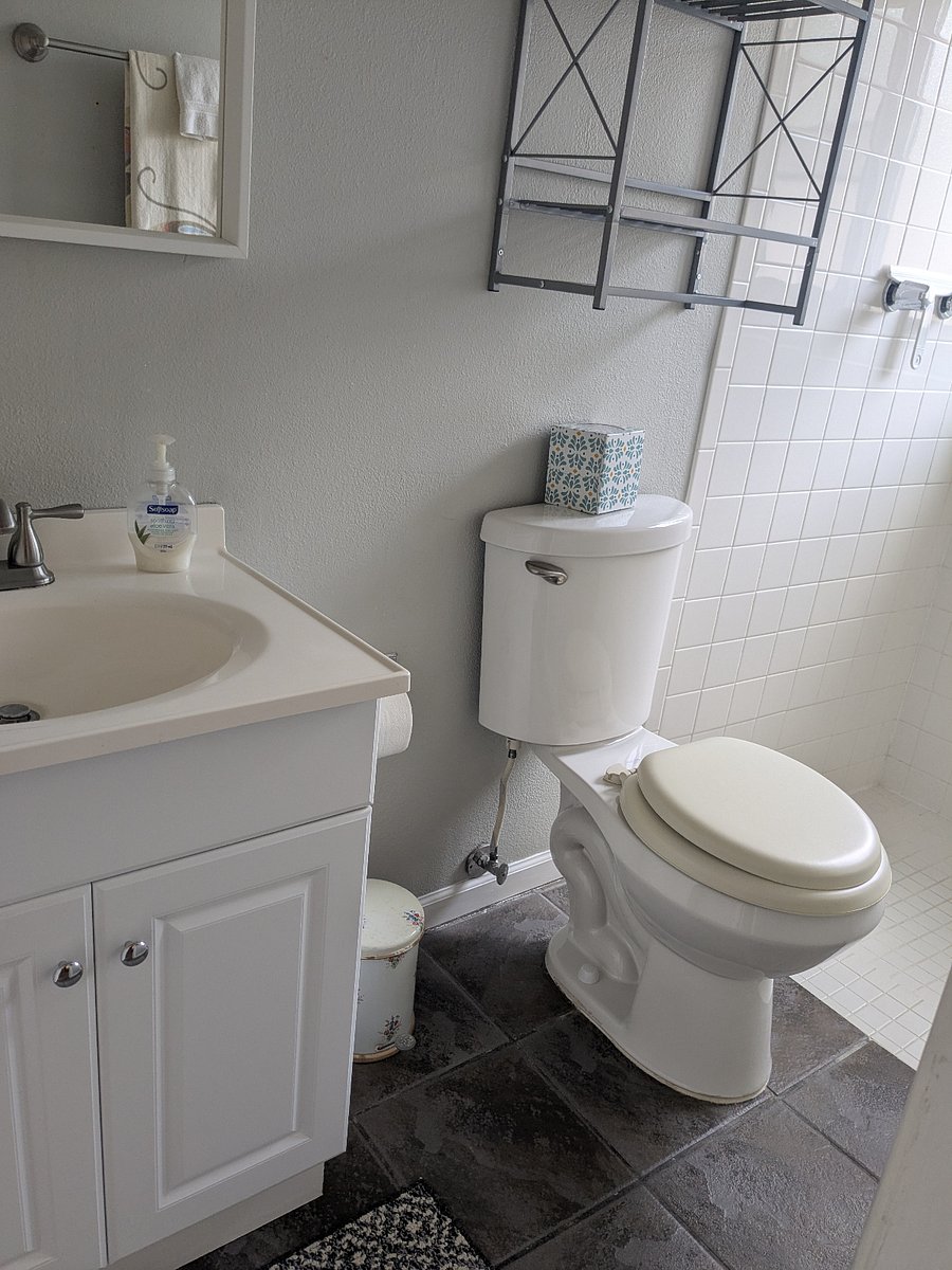 Master Bathroom, downstairs