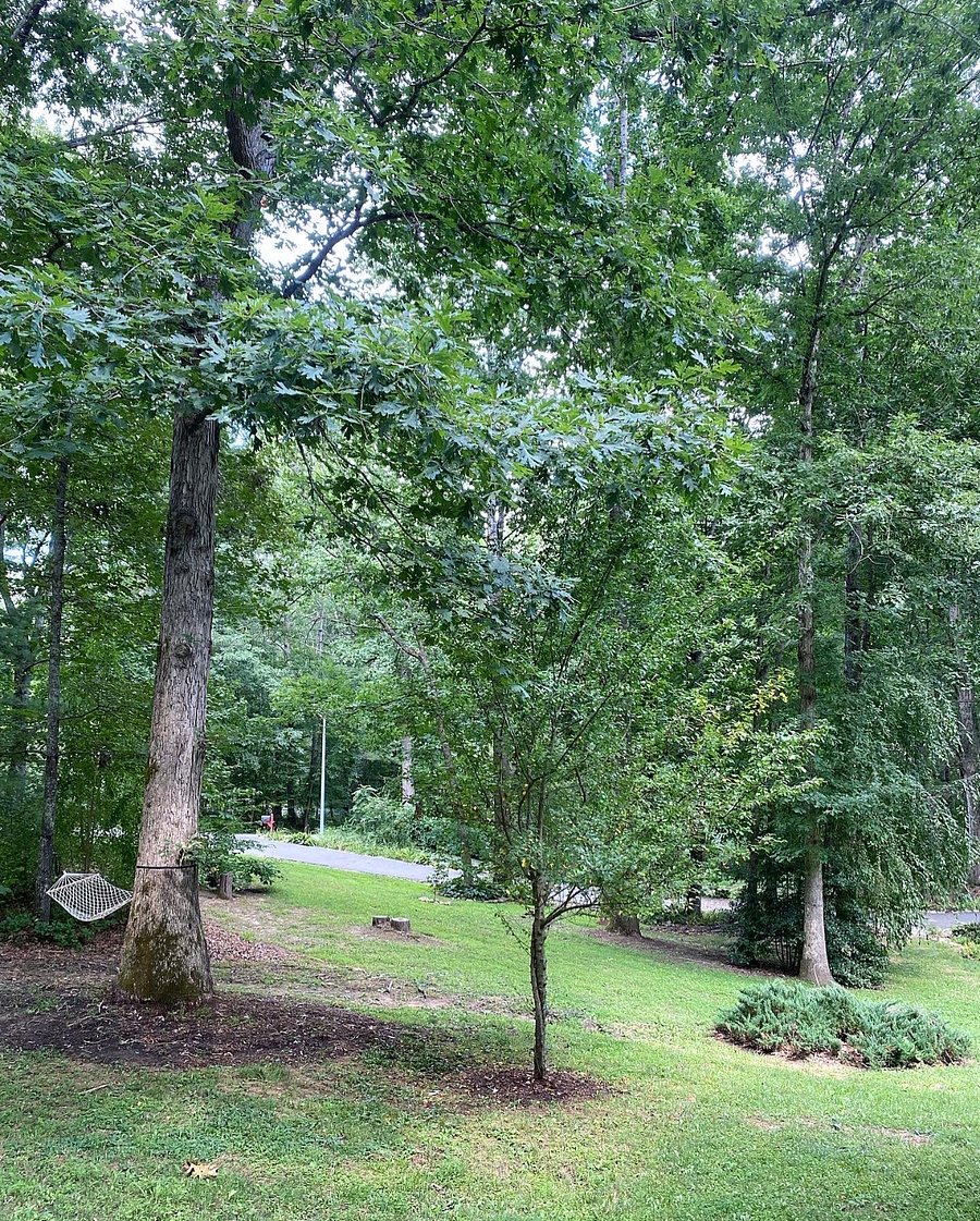 Furnished Finder property 887328_1 photo 26