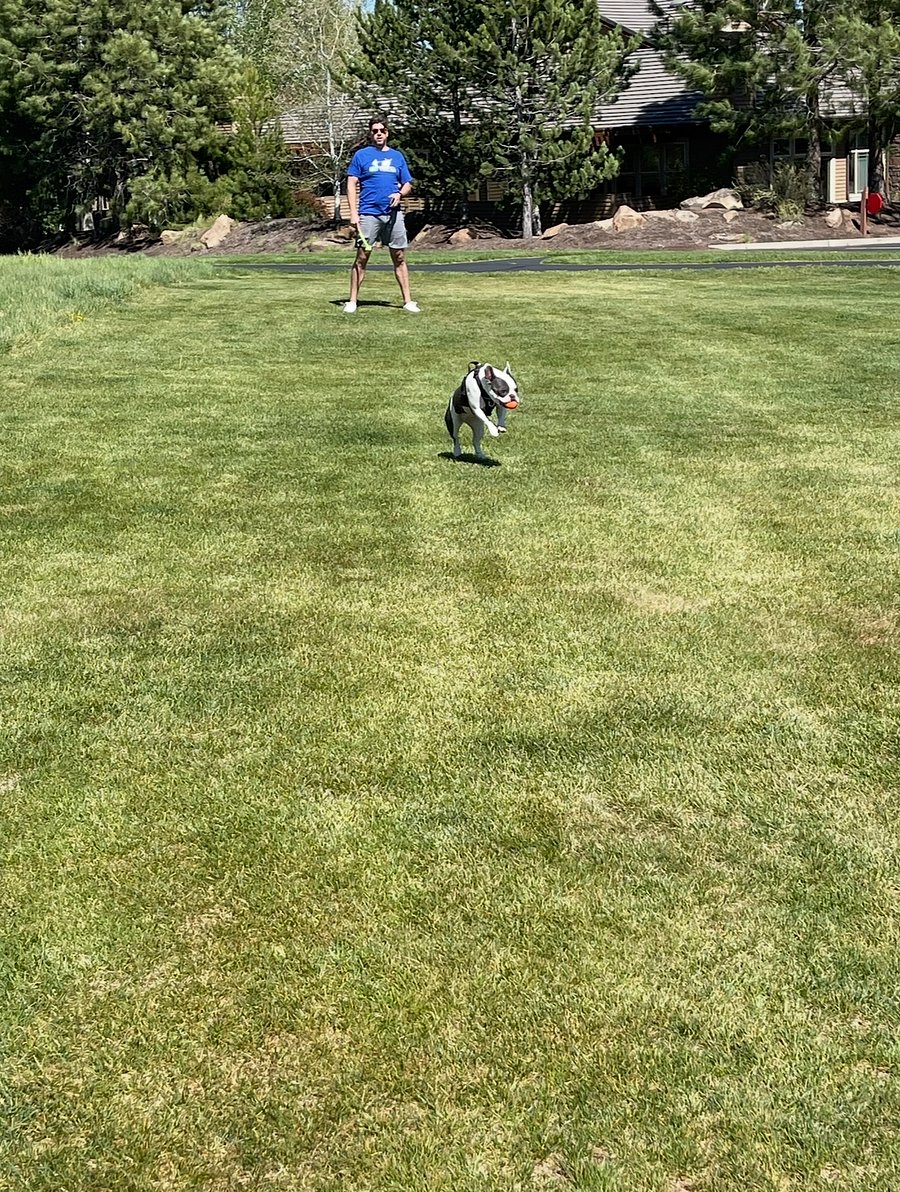Off leash designated dog area that is footsteps away from your front door.