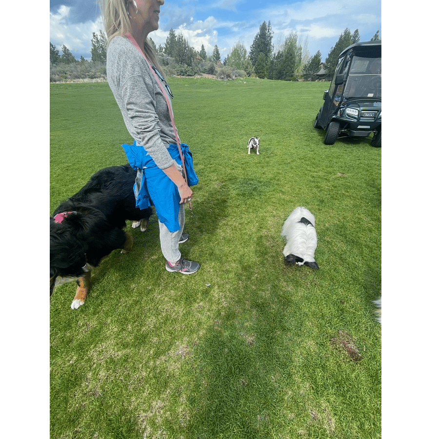 Big and small dogs are all welcome - friendly dogs only!