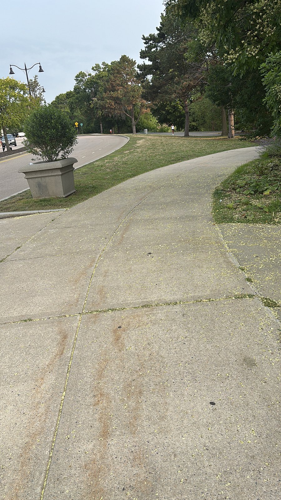 Walking/running options nearby. 