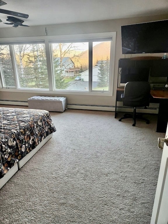 Furnished Finder property 887500_1 photo 20