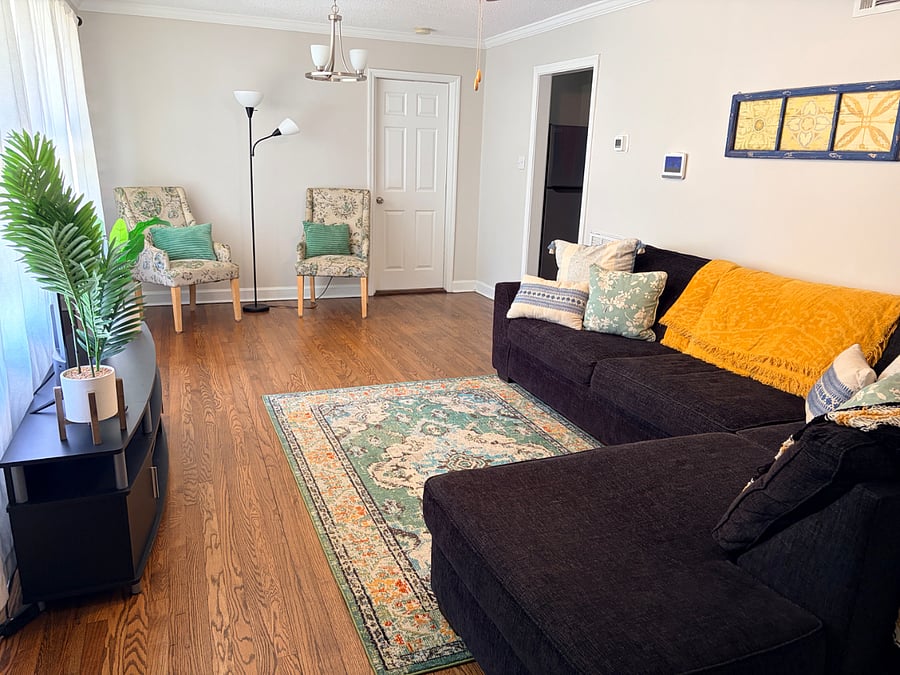 Den with Smart TV