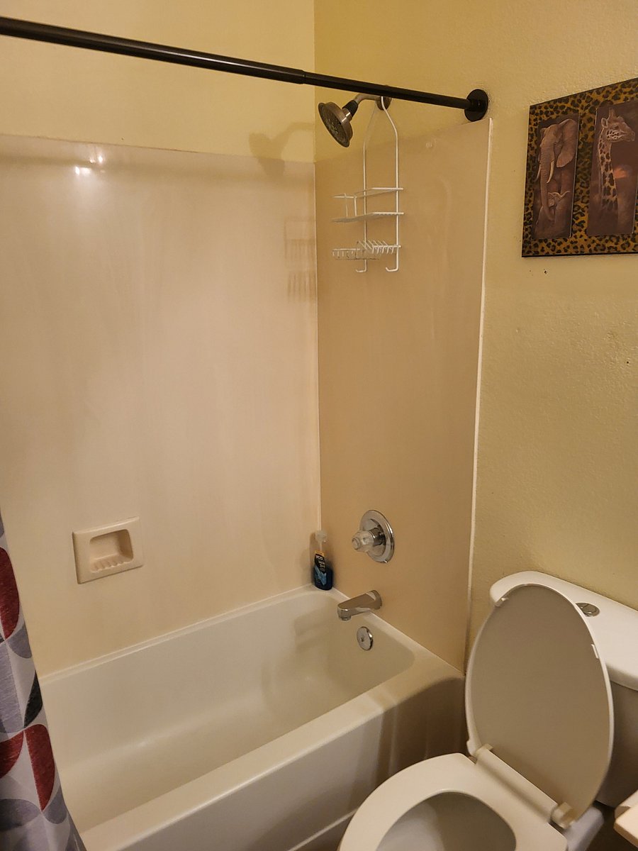 Furnished Finder property 887590_1 photo 5