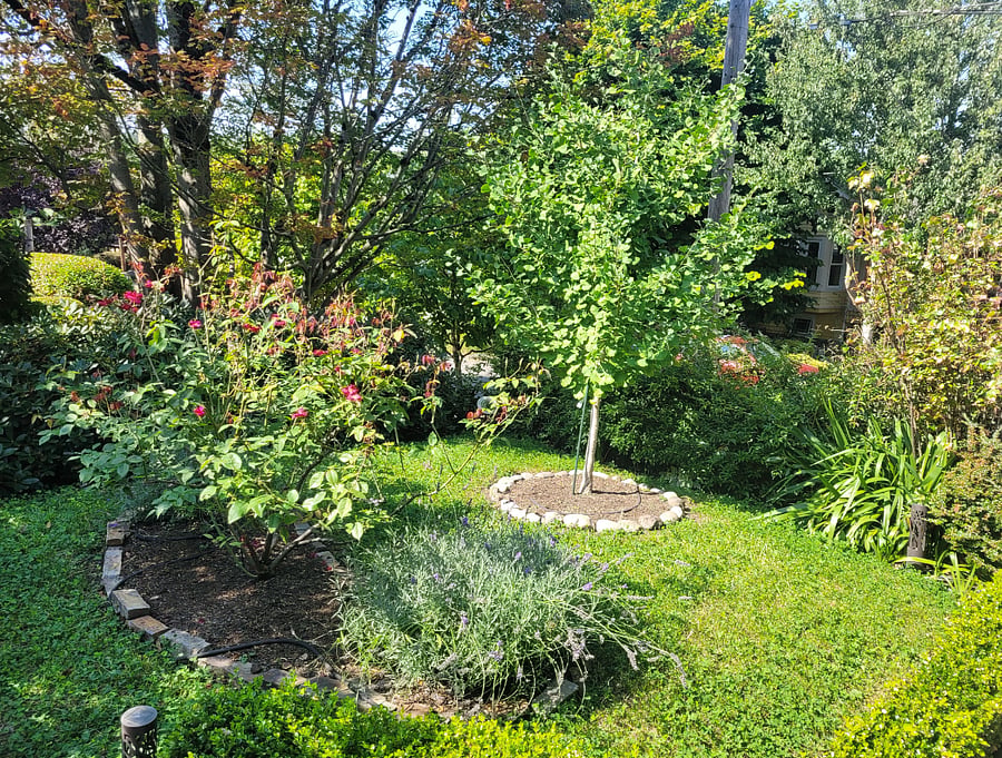 Furnished Finder property 887621_1 photo 28