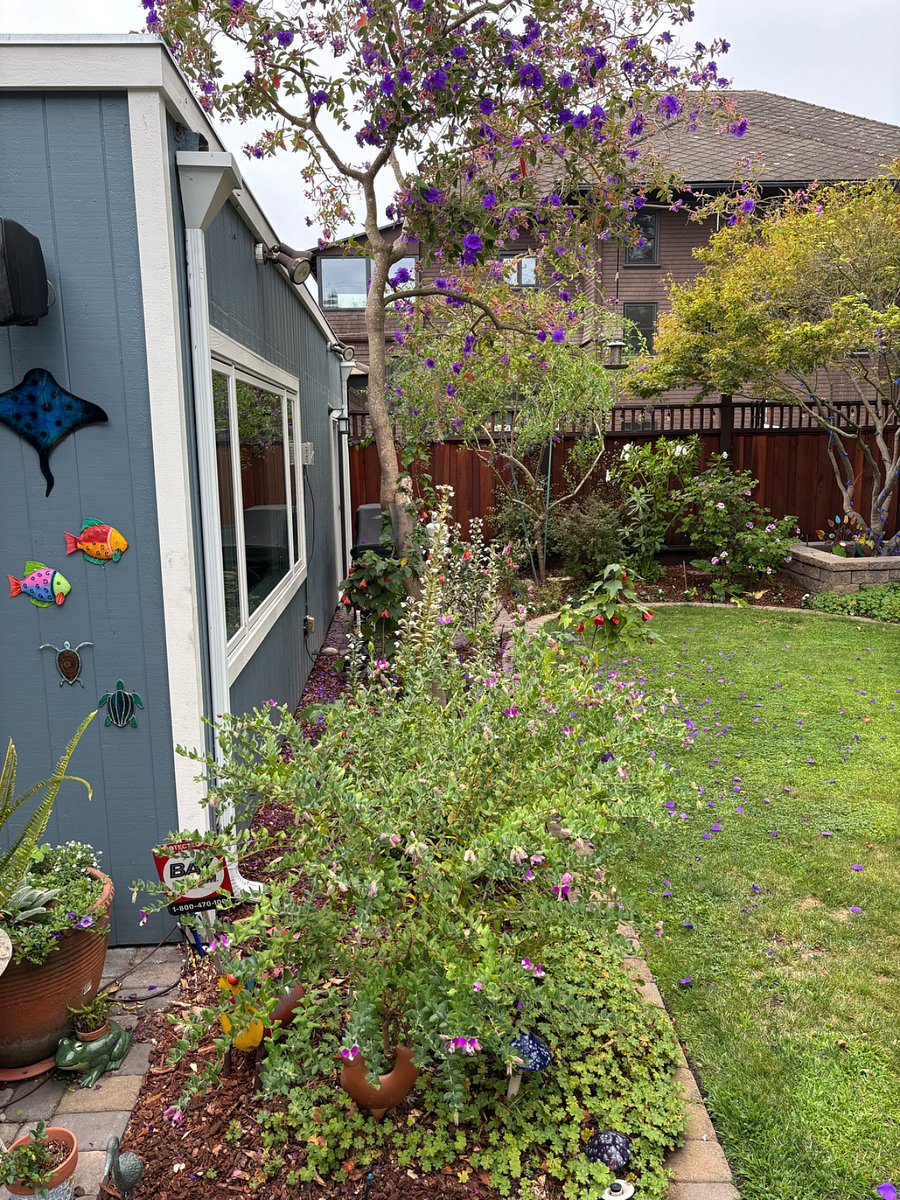 Furnished Finder property 887708_1 photo 15