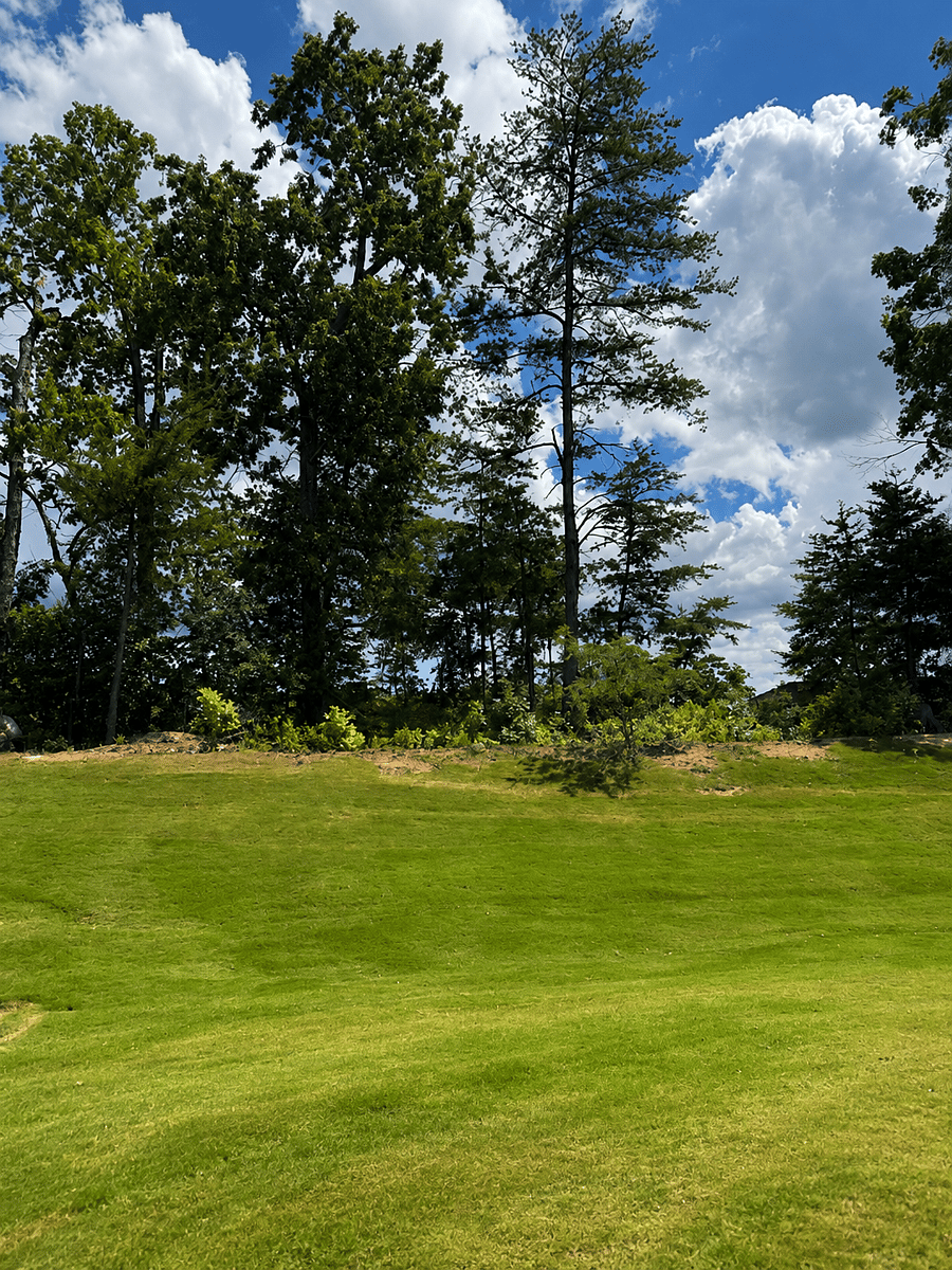 Peaceful green space with mature trees behind the townhome