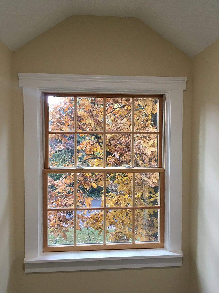 View from dormer window of hickory tree in autumn