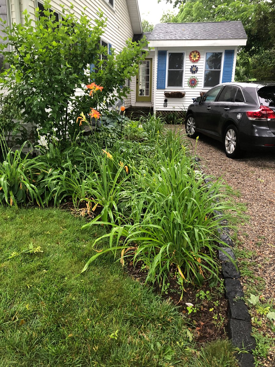 Upper gravel driveway and entrance to kitchen