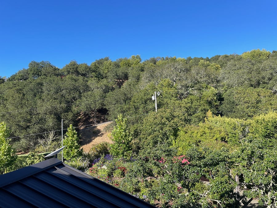 View from the bedroom.