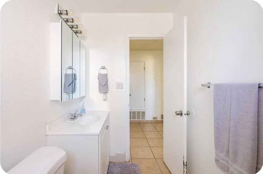Hall bathroom